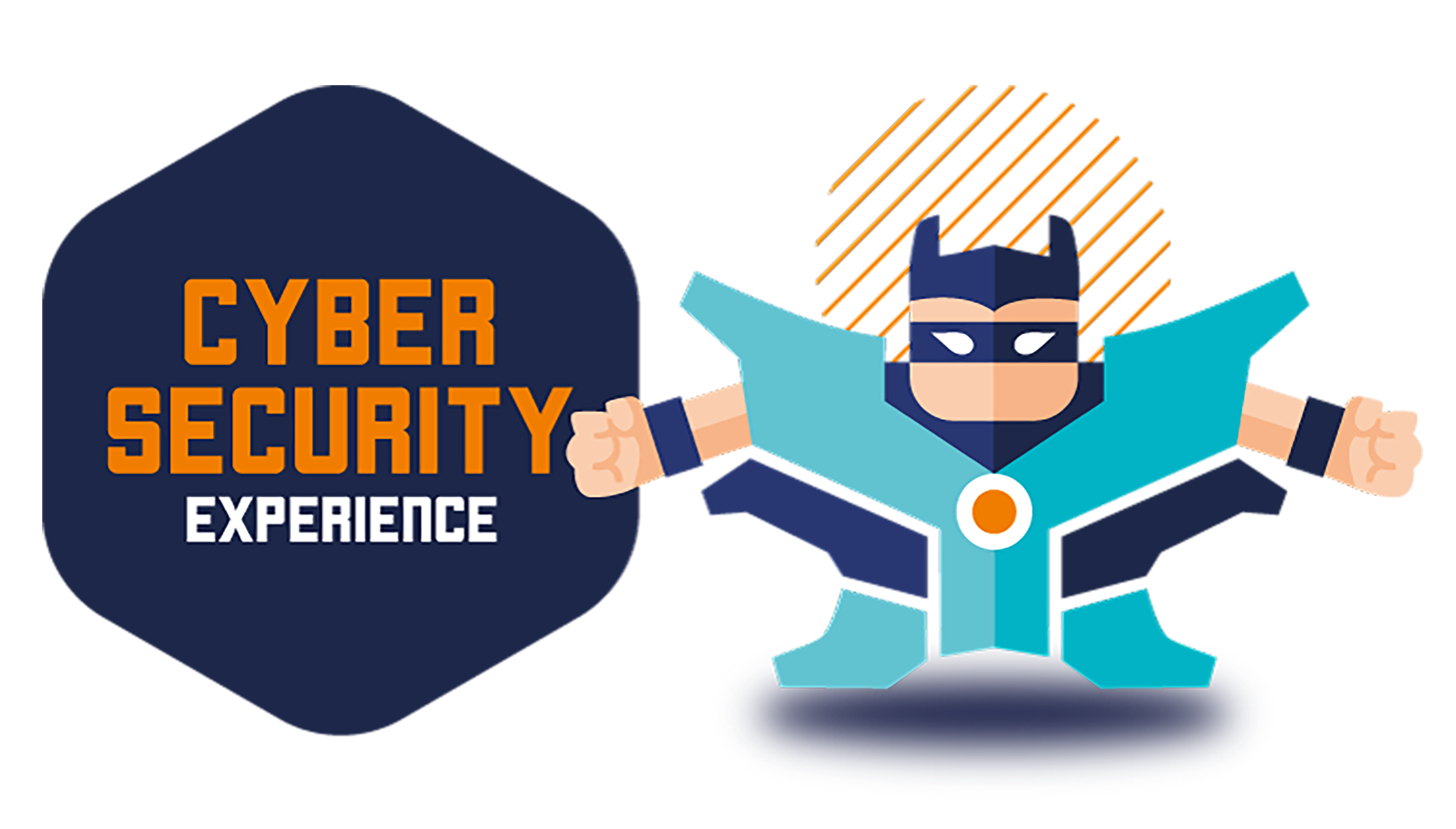 Cyber Security Experience