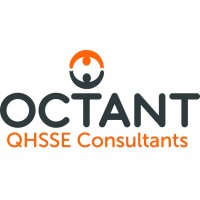 logo van Octant Advies