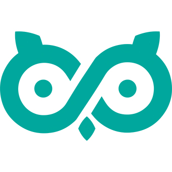 logo van VR Owl