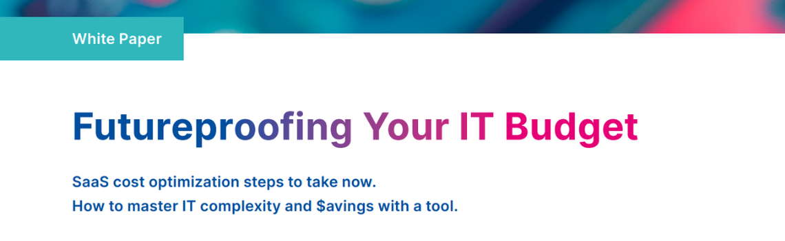 Whitepaper: Master IT Complexity and Save Costs with the Right Tool