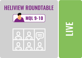 04820170-icoon-heliview-roundtable